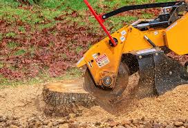 Best Tree Cabling and Bracing  in Eatonville, WA