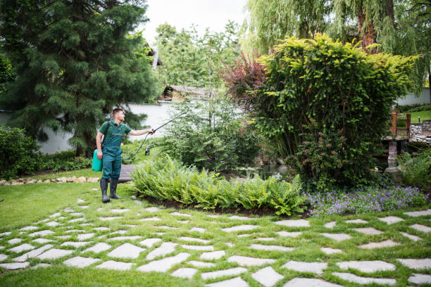 Best Tree Removal  in Eatonville, WA