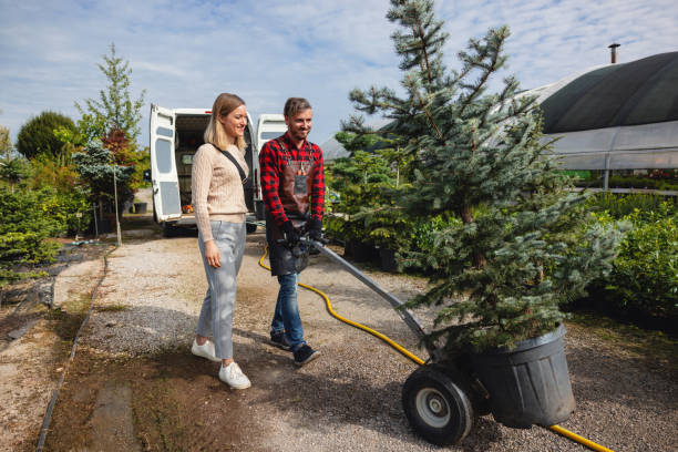Best Tree and Shrub Care  in Eatonville, WA