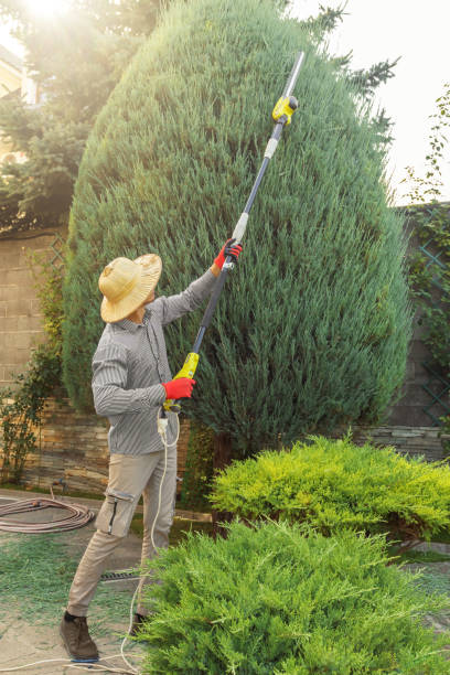 Best Seasonal Cleanup (Spring/Fall)  in Eatonville, WA